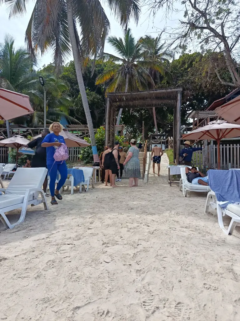 IMG_20250211_111301.webp