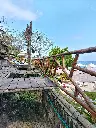 IMG_20250211_105026.webp