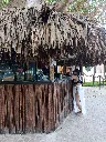 IMG_20250211_110658.webp