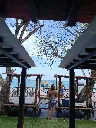 IMG_20250211_110829.webp