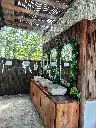 IMG_20250211_104541.webp