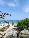 IMG_20250211_104455.webp