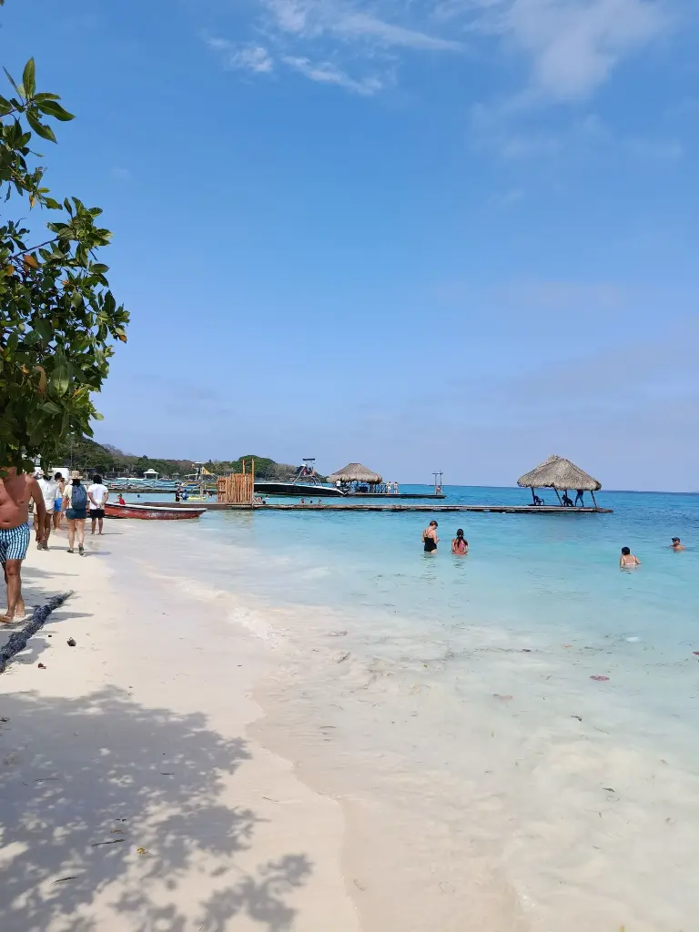 IMG_20250211_103608.webp