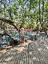 IMG-20250416-WA0120.webp