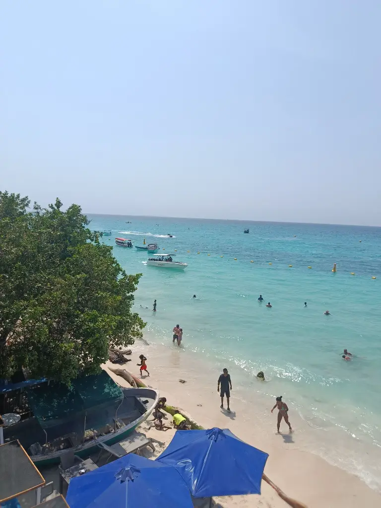 IMG_20250309_133427.webp