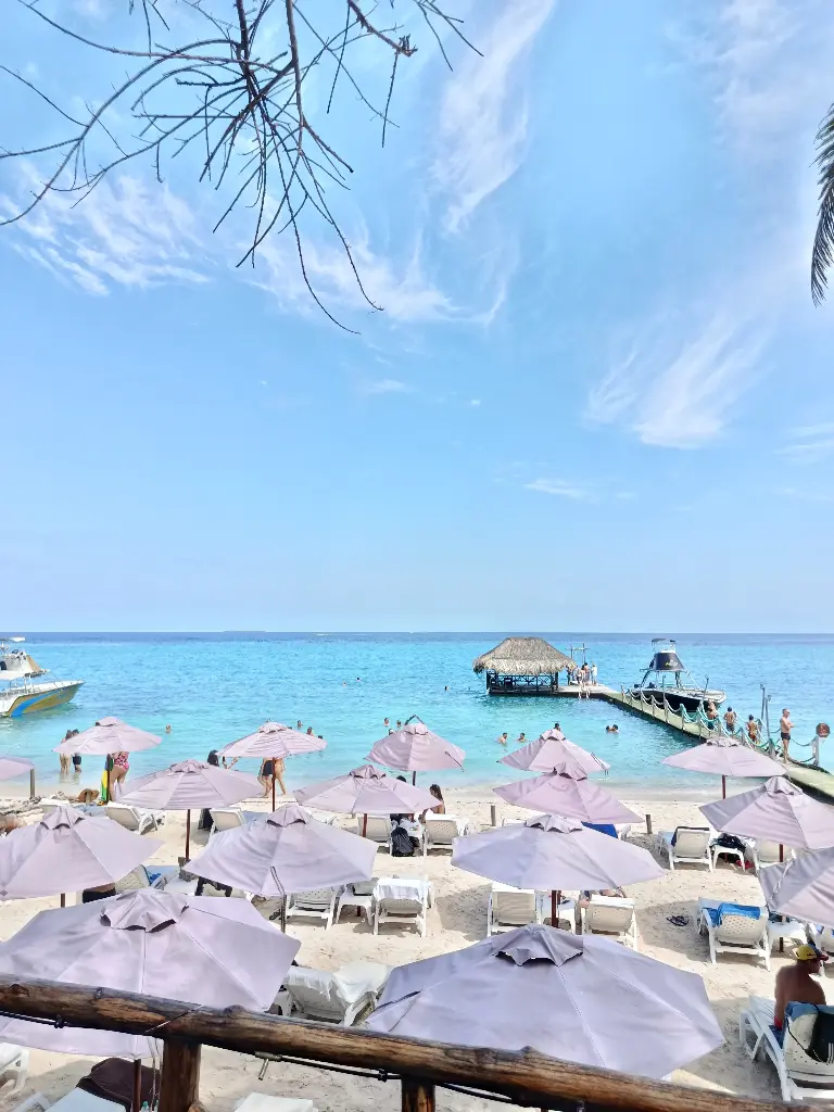 LUXURY OPEN BAR AMBIENTE BEACH - $380.000